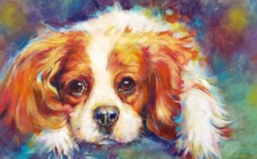 Unleash Your Pet's Personality with Pet Paint: A Complete Guide