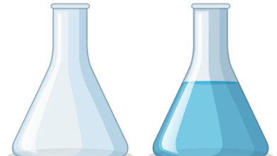 Maximizing Laboratory Efficiency: The Role of High-Quality Beakers in Streamlining Experiments