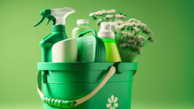 Green and Clean: Embracing Eco-Friendly Cleaning for a Healthier World