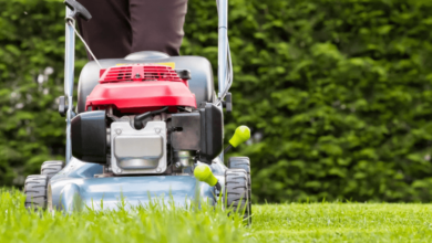 Transform Your Property Why Professional Grass Cutting Service Is Your Garden Best Friend