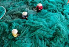 building a resilient workplace culture