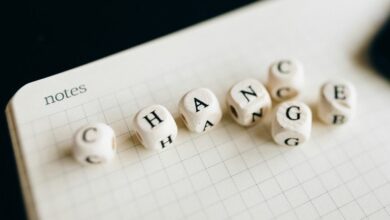 change leadership framework details