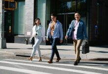 collaborative network development strategies