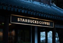 creating impactful brand identities
