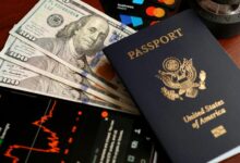 financial markets navigation guide