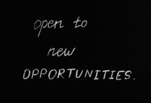growth opportunities unlocked now