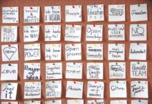 organizational development mastery guide