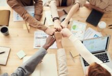 organizational growth framework guide