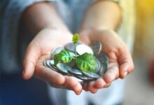 sustainable financial future strategies