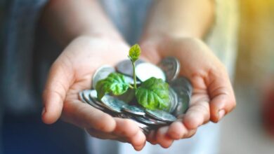 sustainable financial future strategies