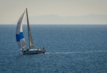 understanding market competition strategies