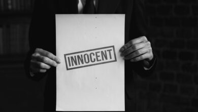 mysterious sequence investigation revealed