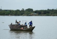 global business expansion insights