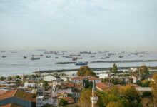 industry insights overview report