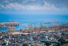 trade development council numbers