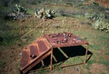 enhance platform with digital tools