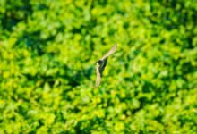 enhance your systems quickly