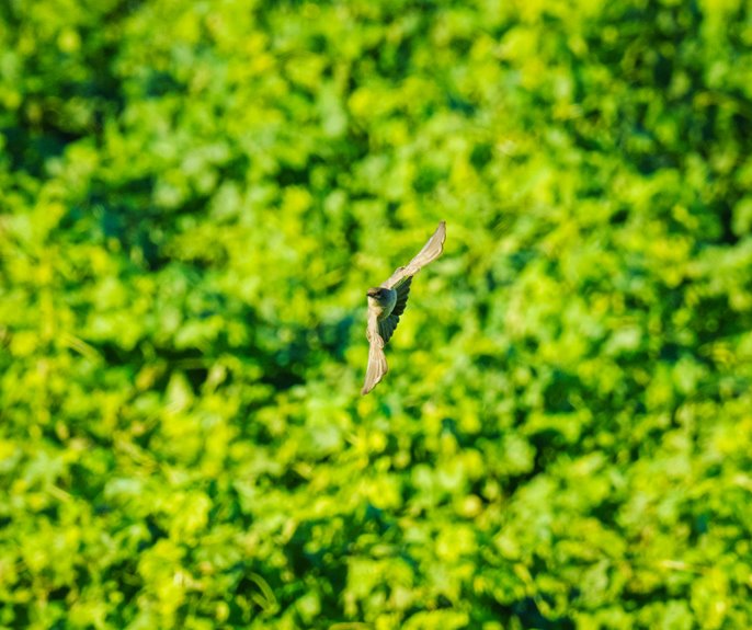 enhance your systems quickly