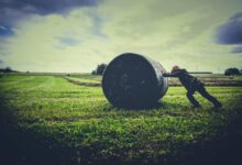 strengthen your business now