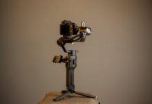 stability through professional system