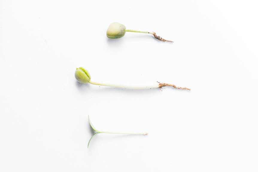 cosmic node growth shaping next level