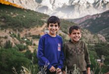 untitled mountain of youth reviews